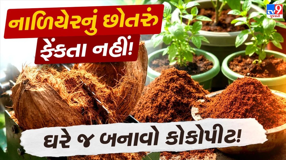 નાળિયેરના છોતરાં ફેંકતા પહેલાં થોભો, ઘરે જ બનાવો કોકોપીટ