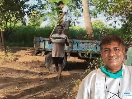 રાજકોટના ડેન્ટિસ્ટે પિતાના સપનાને સાકાર કરવા માટે 38 વીઘામાં ઓર્ગેનિક ખેતી શરૂ કરી