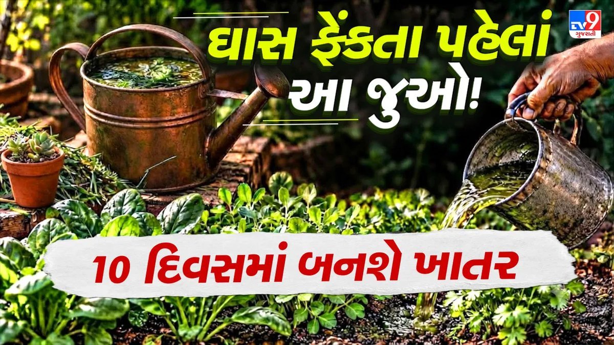 ઘાસને કચરો ન સમજો: 10 દિવસમાં બનાવો નાઇટ્રોજનથી ભરપૂર લિક્વિડ ખાતર