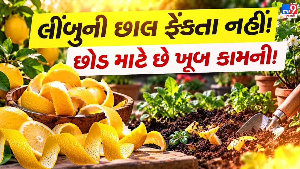 લીંબુની છાલ ફેંકતા પહેલા થોભો: છોડ માટે 7 ઉપયોગી રીતો