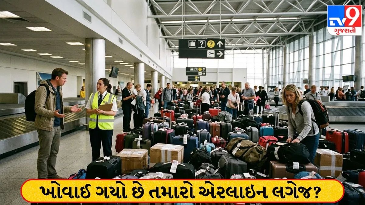 ફ્લાઇટમાં સામાન ખોવાઈ જાય તો શું કરવું? એરપોર્ટ છોડતા પહેલાં આ પગલાં ભરો
