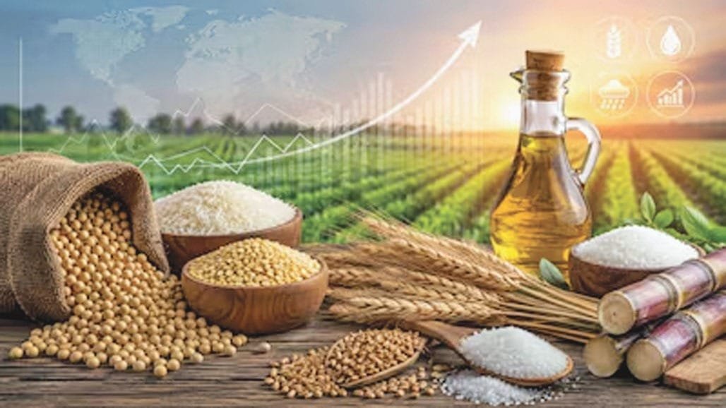 ડુંગળી 100% મોંઘી: ખાદ્ય ફુગાવો વધવાની ચેતવણી