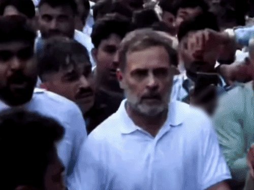 રાહુલ ગાંધી પર ભાજપનો આરોપ: મહિલા પત્રકારને ધક્કો માર્યો, કાર્યકર્તાને કોણી મારી