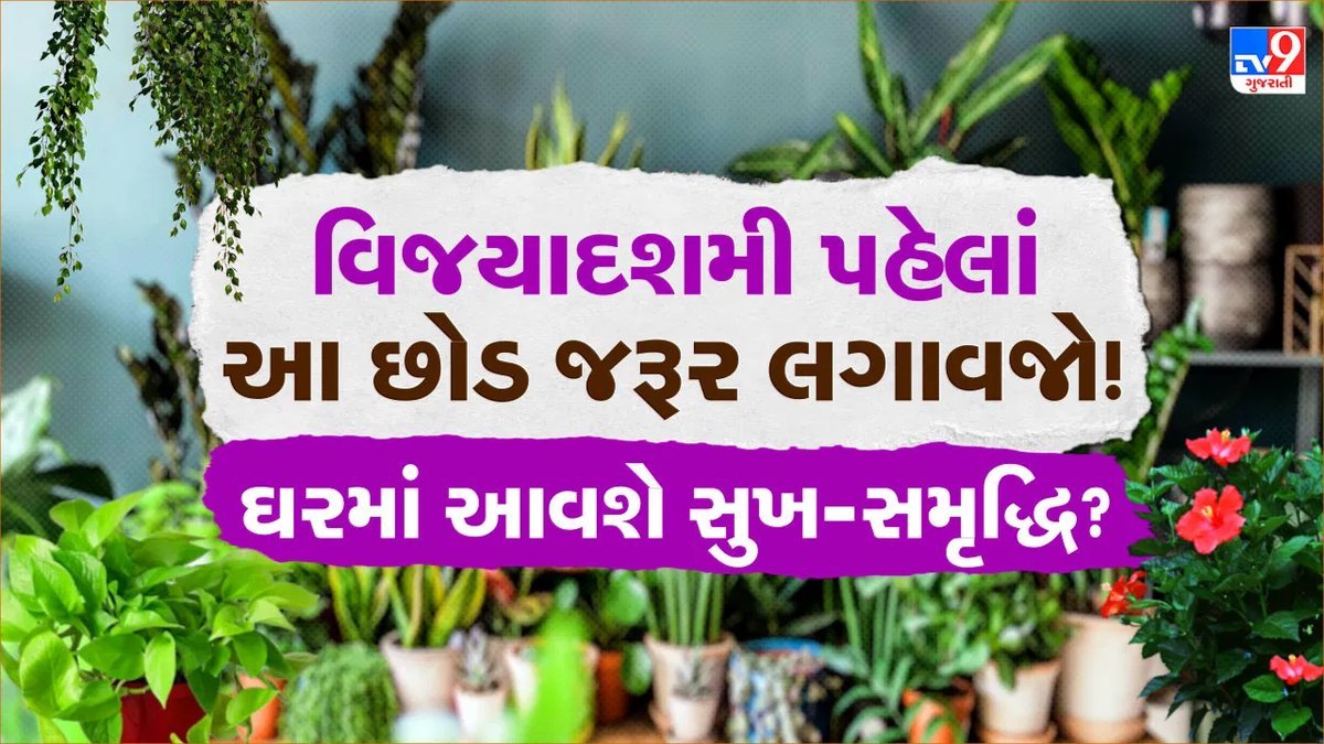 વિજયાદશમી પહેલાં ઘરમાં લગાવો આ 5 છોડ, સુખ-સમૃદ્ધિ માટે શુભ મનાય છે