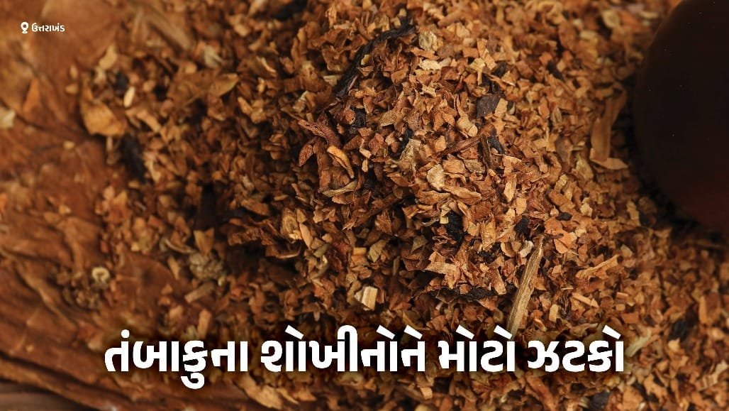 ઉત્તરાખંડમાં ગુટખા અને પાન મસાલા પર એક વર્ષનો પ્રતિબંધ, ફૂડ સેફ્ટી વિભાગનો કડક આદેશ