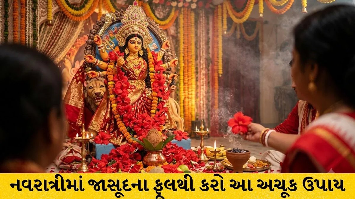 નવરાત્રીમાં જાસૂદનું ફૂલ: શ્રદ્ધા અને આર્થિક સમૃદ્ધિ માટેનો ઉપાય