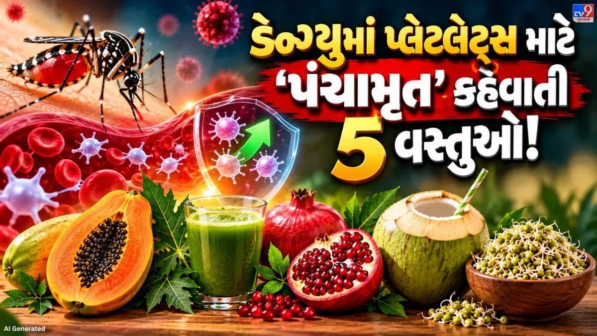 ડેન્ગ્યુમાં પ્લેટલેટ્સ ઘટે ત્યારે શું ખાવું-પીવું? જાણો ડૉક્ટરની સલાહ