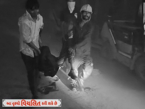 ભરૂચની સાયખા GIDCમાં ભયાનક વિસ્ફોટ: સિનઝીલ ફાર્માકેમમાં 5 કામદારોનાં મોત, 5 ગંભીર રીતે ઘાયલ