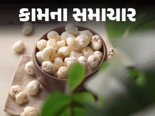 મખાણા: પ્રોટીન અને ફાઇબરનો ખજાનો, ખરીદતી વખતે આ 9 બાબતો ધ્યાનમાં રાખો