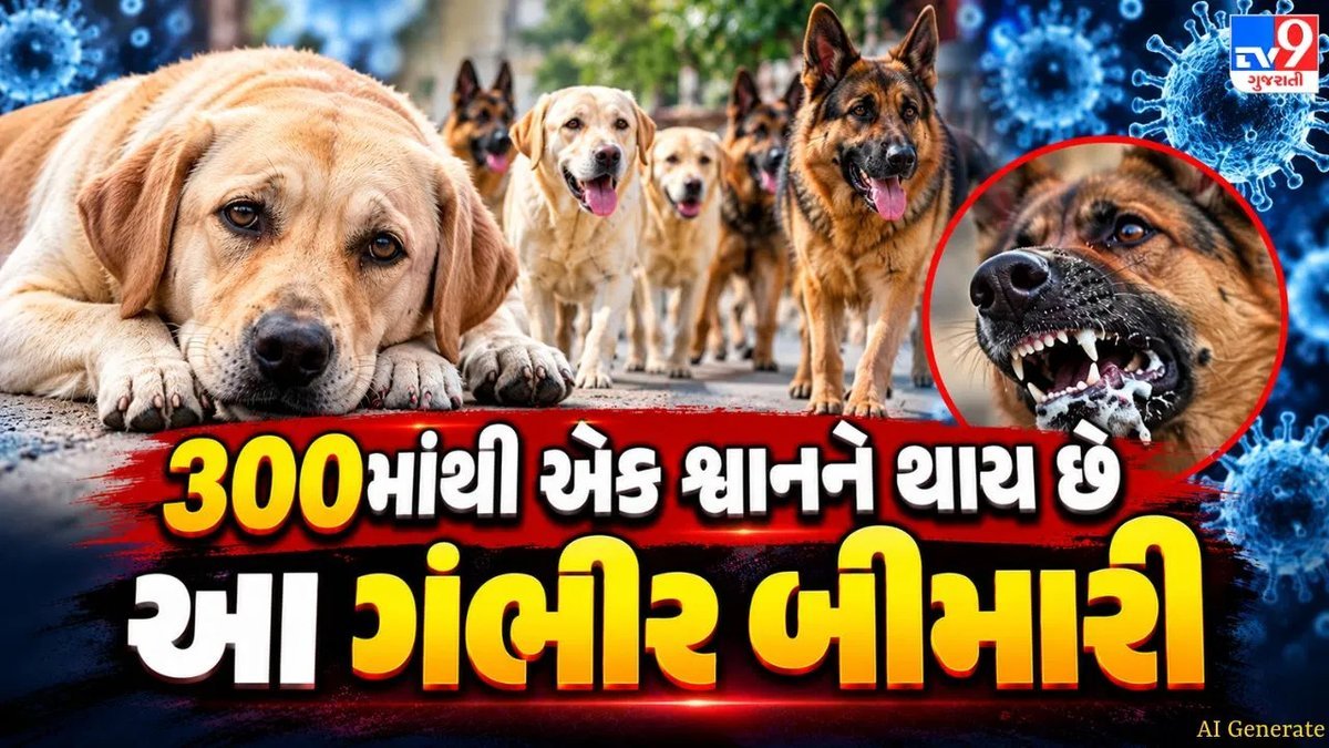 શ્વાનને પણ થાય છે ડાયાબિટીસ: પ્રારંભિક લક્ષણો, કારણો અને સારવાર