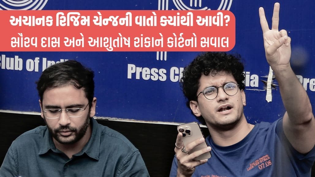 જંતર-મંતર કેસ: હાઈકોર્ટે CJP નેતાઓને પૂછ્યું, 'તમે જીવનમાં બીજું શું કરો છો?'