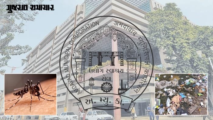 અમદાવાદમાં ડેન્ગ્યુ, પ્રદૂષણ અને કચરા મુદ્દે AMC કમિશનરની સમીક્ષા, અધિકારીઓ પાસે ખુલાસો માંગ્યો