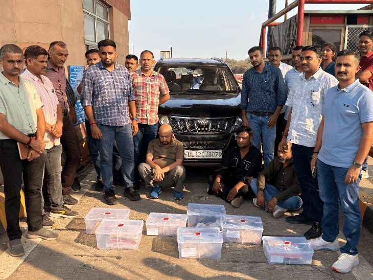 અમદાવાદમાં 25 કરોડના ડ્રગ્સ સાથે દિલ્હી-યૂપીના ત્રણ પેડલર ઝડપાયા, ક્રાઈમ બ્રાંચનું સંયુક્ત ઓપરેશન