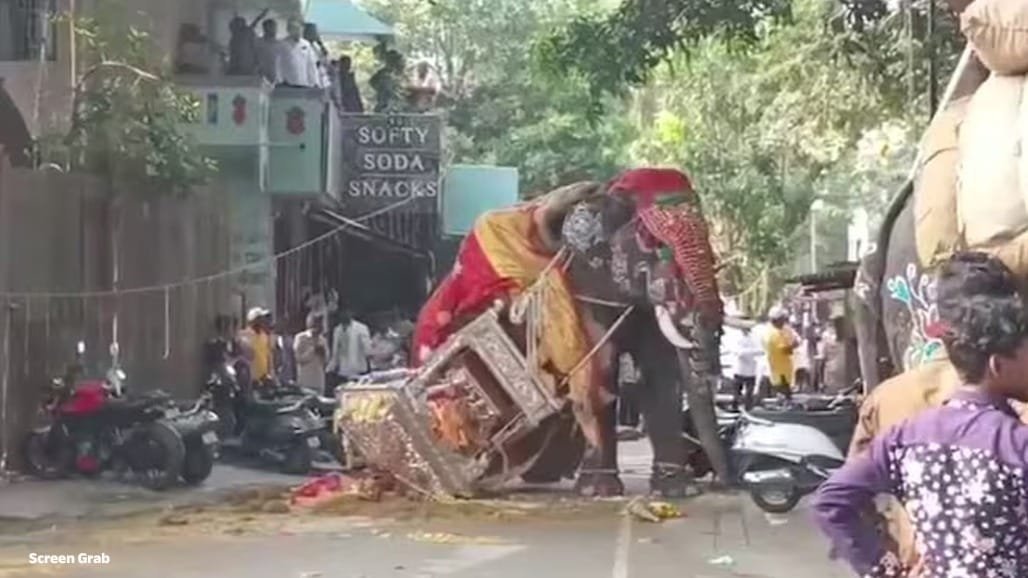 શિવમોગ્ગામાં દશેરા સરઘસમાં હાથી બેકાબૂ, 650 કિલો ચાંદીની અંબાડી પડી; ભાગદોડ