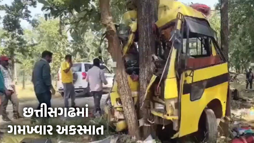 છત્તીસગઢમાં ભીષણ બસ અકસ્માત: ઝાડ સાથે ટકરાતાં 6ના મોત, 15 ઘાયલ