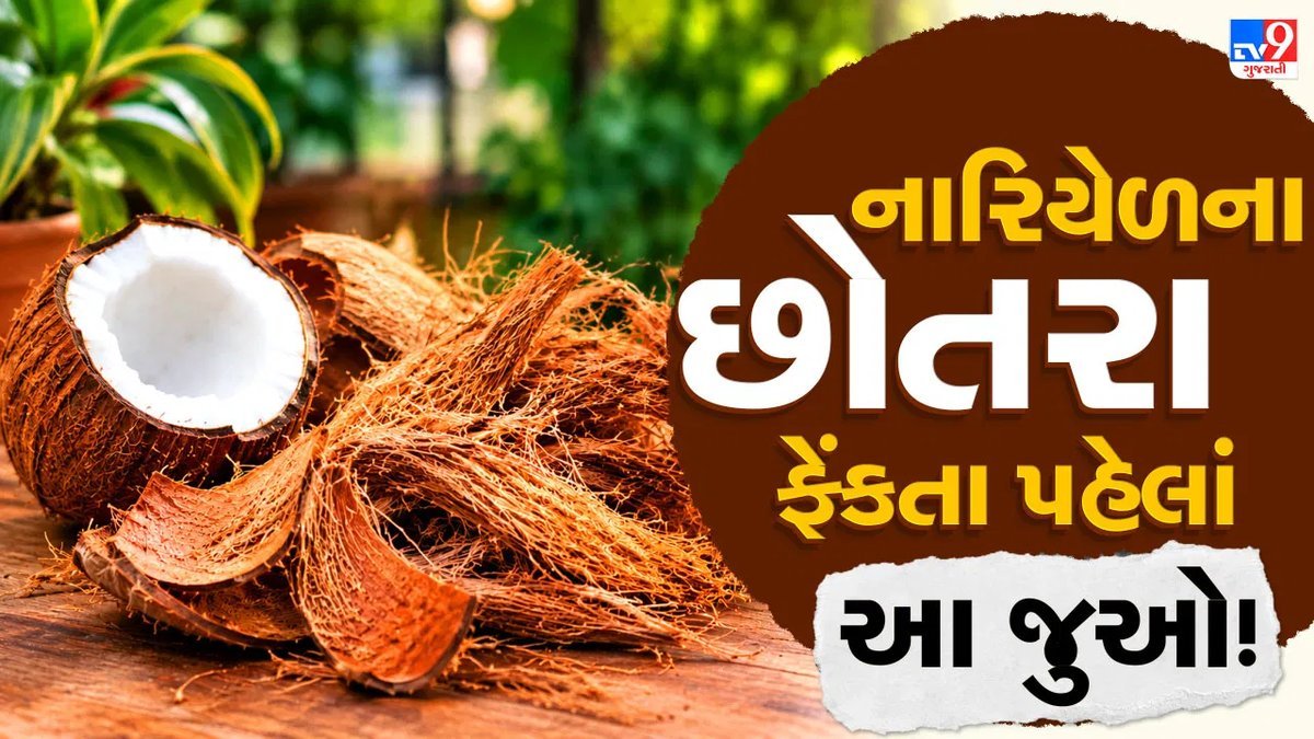 નારિયેળના છોતરા ફેંકતા પહેલાં જાણો તેના 5 ઉપયોગી ઉપયોગ