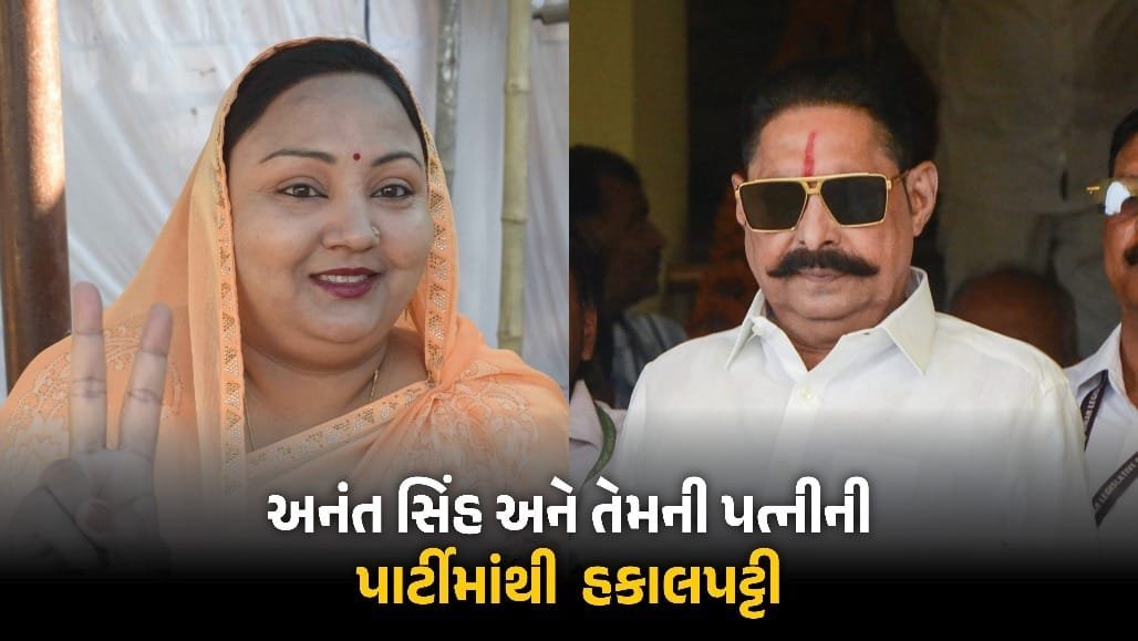 બિહાર: જેડીયુએ અનંત સિંહ અને પત્ની નીલમ દેવીને 6 વર્ષ માટે પાર્ટીમાંથી કાઢ્યા, ધારાસભ્ય પદ રદ કરવાની ભલામણ