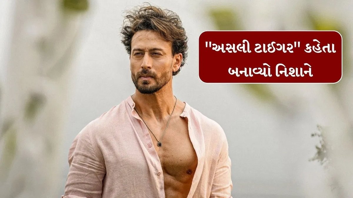 ટાઈગર શ્રોફ પર ગોળીબાર: સલમાન ખાનની પ્રશંસા કરવાનું કારણ હોવાનો આરોપીનો દાવો