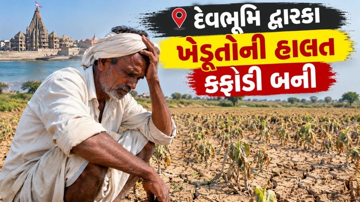 દેવભૂમિ દ્વારકામાં સૂકો દુકાળ: ખેડૂતોને સિંચાઈના પાણી અને પશુઓ માટે ઘાસચારાની માગણી