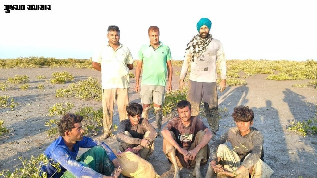 કચ્છના સર ક્રીકમાંથી BSFએ 4 પાકિસ્તાની માછીમારો ઝડપ્યા, એક બોટ જપ્ત