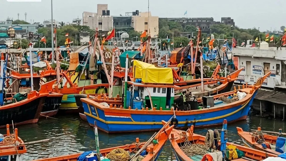 વેરાવળથી દ્વારકા સુધી ગેરકાયદે લાઇટ ફિશિંગનો આરોપ, માછીમારોની રોજીરોટી પર સંકટ