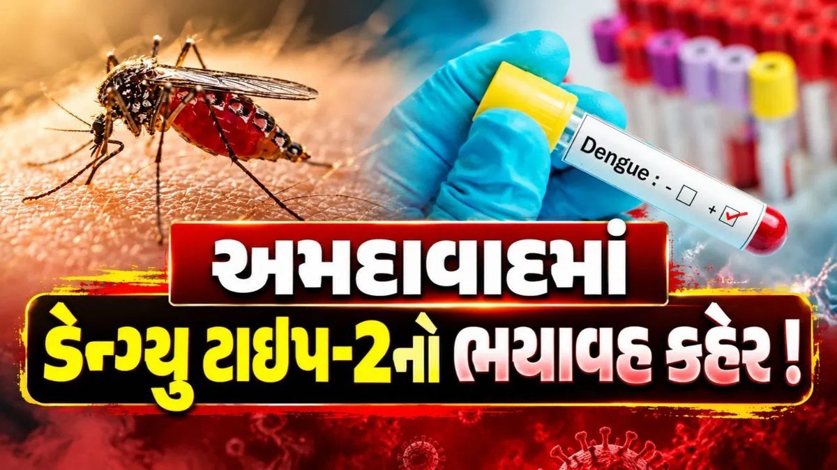 અમદાવાદમાં ડેન્ગ્યુ ટાઇપ-2ની ગંભીરતા: 86% દર્દીઓના સેમ્પલમાં જીવલેણ વાયરસ