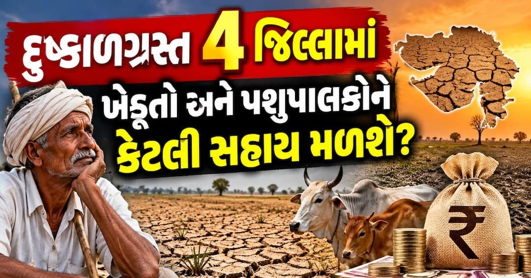 દુષ્કાળગ્રસ્ત 4 જિલ્લામાં ખેડૂતોને હેક્ટર દીઠ ₹8,500 સહાય, પશુપાલકોને પણ રાહત