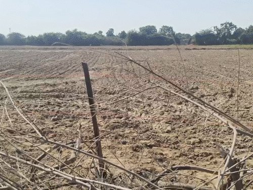 દુષ્કાળ: 15 જિલ્લાના 45 તાલુકા ઘટવાળા વિસ્તારો છતાં સહાય નહીં, ખેડૂતોમાં રોષ