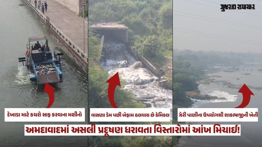 સાબરમતીનું ઝેરી પાણી શાકભાજીમાં ભળી રહ્યું, અમદાવાદના લોકોની સ્વાસ્થ્ય ચિંતા