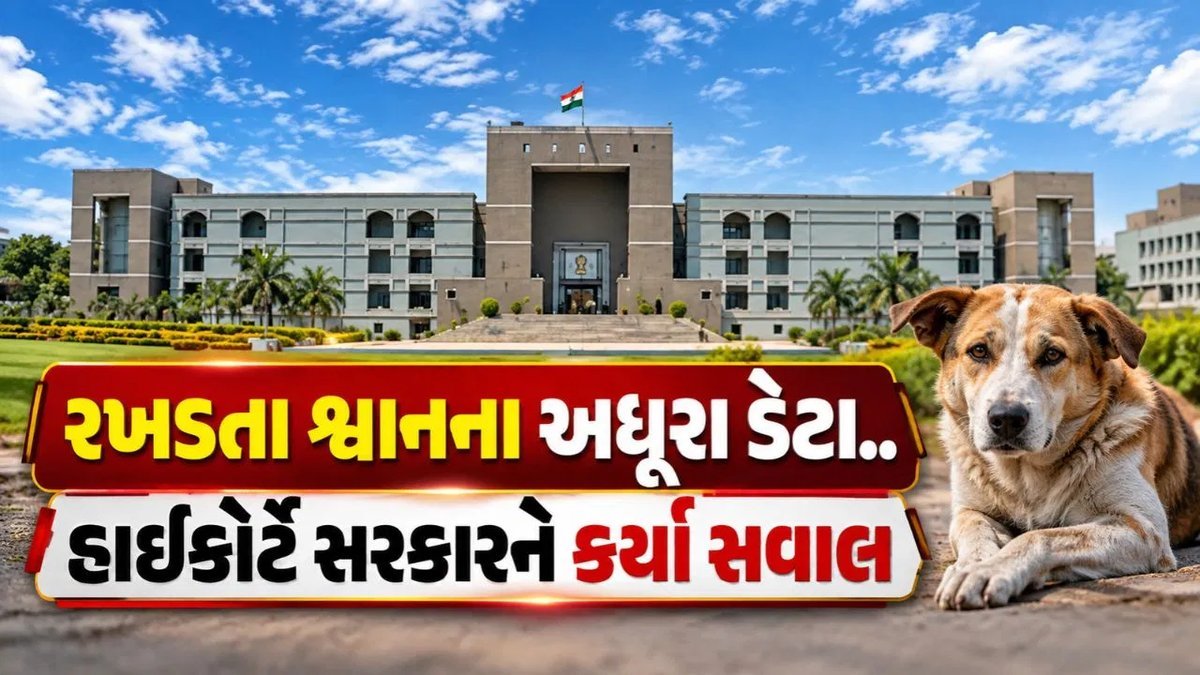 રખડતા શ્વાન મુદ્દે હાઈકોર્ટ સખત: 34માંથી માત્ર 17 જિલ્લાનો ડેટા, રસી અને ખસીકરણની વિગતો પણ અધૂરી