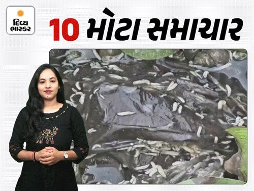 સુરતના ઓલપાડમાં ભાજપ નેતાના પુત્રએ દારૂ પીને સ્કોર્પિયોથી 10થી વધુ વાહનોને નુકસાન પહોંચાડ્યું