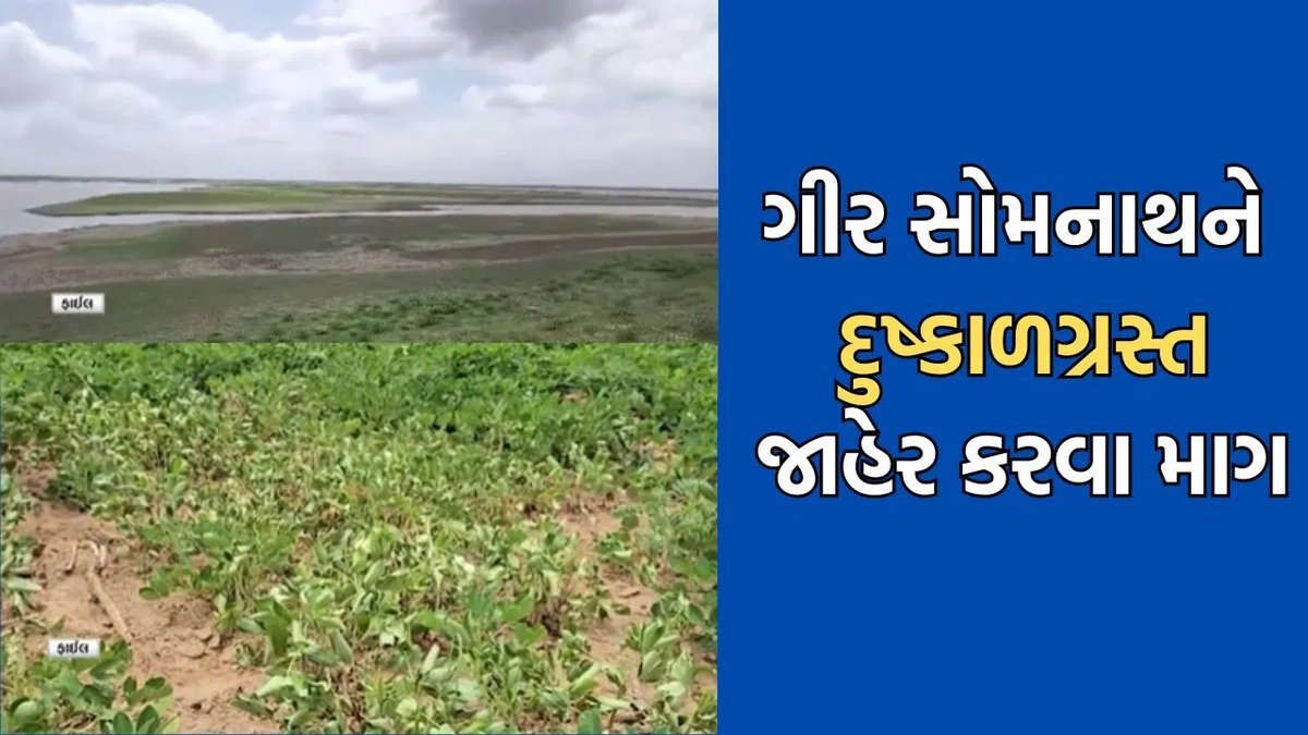 ગીર સોમનાથને દુષ્કાળગ્રસ્ત જાહેર કરવાની માગ, ધારાસભ્ય વિમલ ચુડાસમાએ મુખ્યમંત્રીને પત્ર લખ્યો