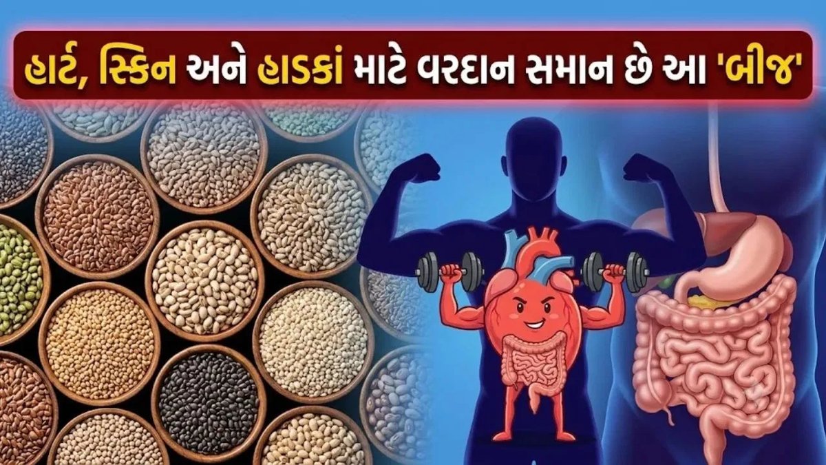 અળસી, ચિયા અને કોળાના બીજ: રોજિંદા આહારમાં જોડો તો શરીરને શું ફાયદો થાય?