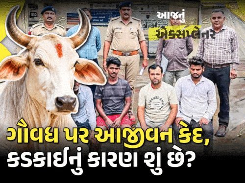 ગૌહત્યા કેસમાં 3ને આજીવન કેદ: કોર્ટે મનુસ્મૃતિ અને વેદો ટાંક્યા, જાણો કાયદો શું કહે છે