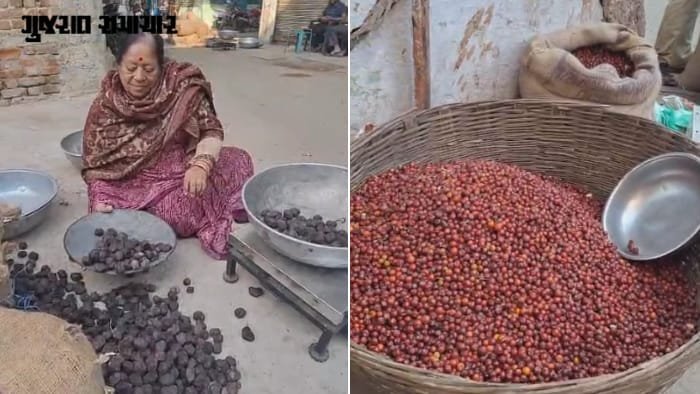 અમદાવાદના દિલ્હી ચકલામાં શિંગોડા-ચણી બોરનું હોલસેલ બજાર, રોજ 30 ટ્રક આવે