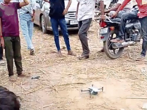 સાંતલપુરના વૌવામાં જંગલી પ્રાણીના હુમલાથી ગ્રામજનો ભયભીત: દિવસ-રાત પહેરેદારી, ડ્રોન નિગરાની