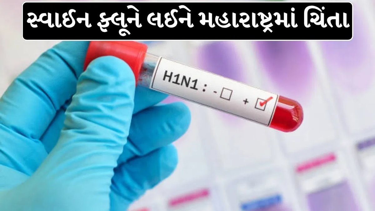 પુણેના પિંપરી-ચિંચવડમાં સ્વાઇન ફ્લૂના કેસો વધ્યા, ગણેશોત્સવ પહેલાં આરોગ્ય વિભાગ સતર્ક