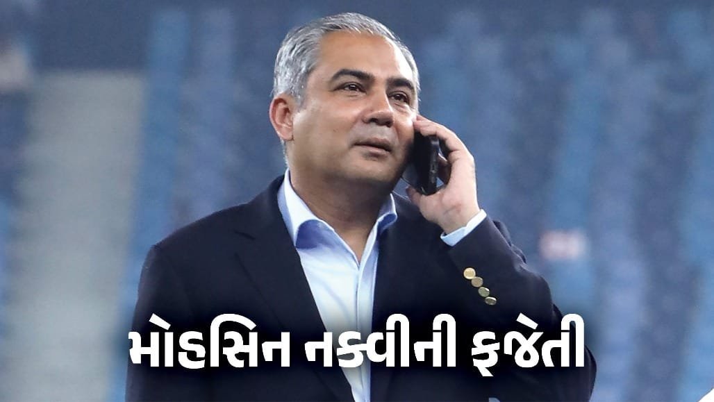 આઇસલેન્ડ ક્રિકેટે મોહસિન નકવીની મજાક ઉડાવી, 'આઇસબર્ગ પાર કરીને મળો' ઑફર કરી