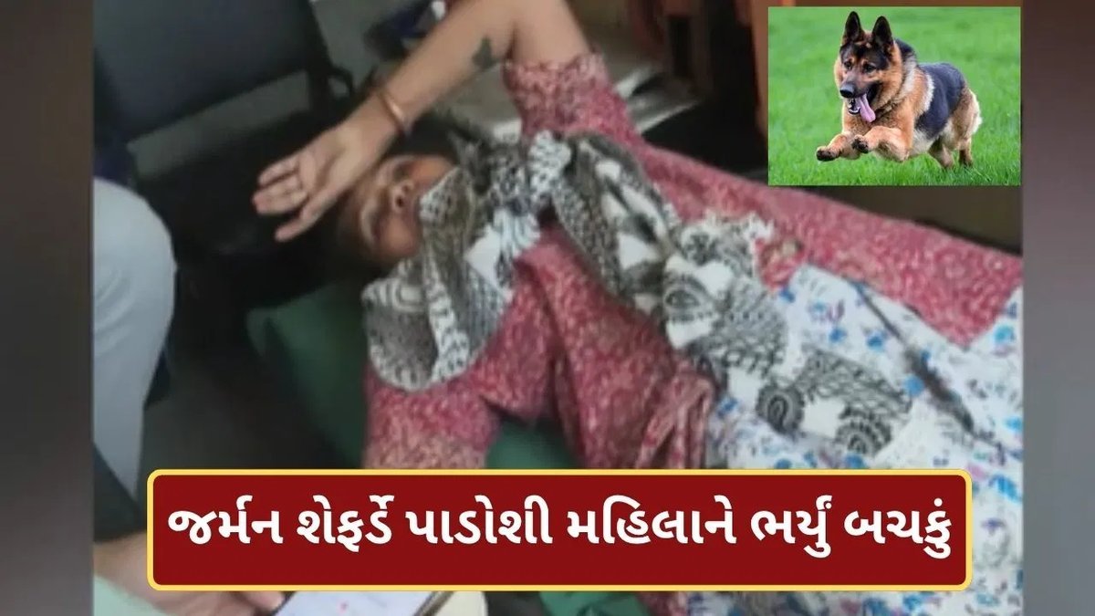 અમદાવાદના વસ્ત્રાલમાં પાલતુ જર્મન શેફર્ડે પાડોશી મહિલાને બચકું ભર્યું, માલિક સામે ફરિયાદ