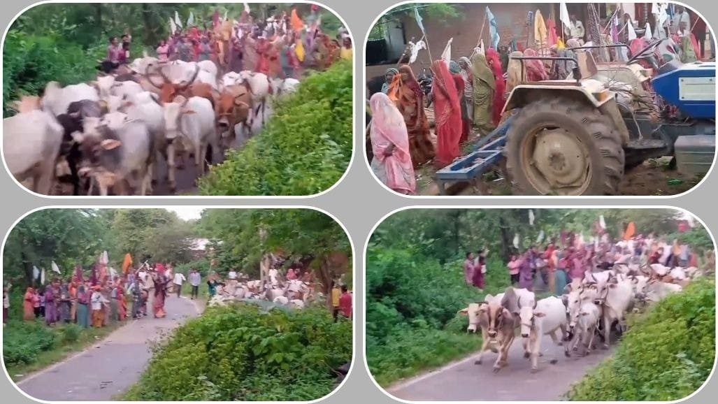 વરસાદ માટે અનોખી પરંપરા: પંચમહાલની મહિલાઓએ પુરુષ વેશ ધારણ કરી ગાયો વાળી