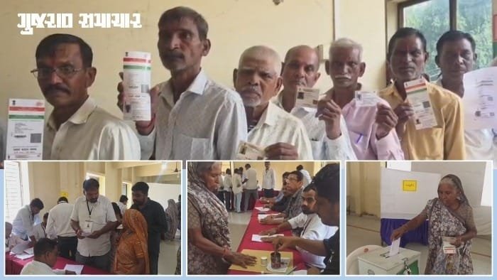 નસવાડી APMC: 15 વર્ષ પછી 533 ખેડૂતો મતદાન કરશે, ભાજપ સામે ભાજપ