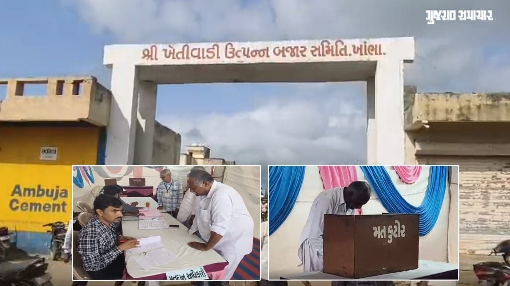 ખાંભા APMC ચૂંટણી: ભાજપ, કોંગ્રેસ અને બળવાખોરો વચ્ચે ત્રિપાંખિયો જંગ, આજે મતદાન
