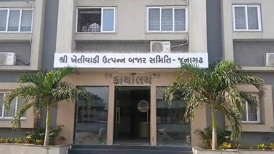 ગુજરાત APMC ચૂંટણી પરિણામ: ધાનેરામાં ભાજપને ઝટકો, ધોળકામાં કોંગ્રેસની ધમાકેદાર જીત