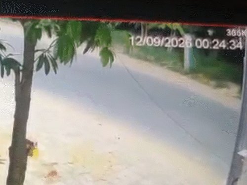 અમદાવાદ: શીલજમાં પતિની સામે પત્નીને બાઇક ચાલકે ટક્કર મારી, લગ્નના બે મહિનામાં મોત