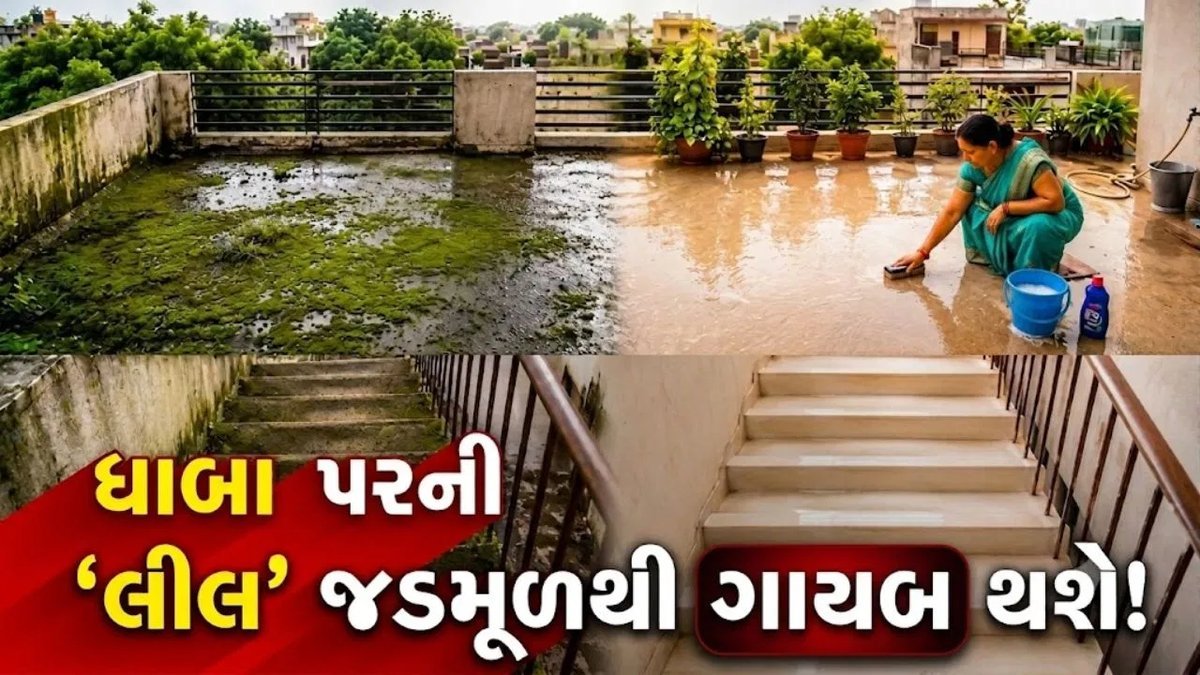 છત પર જામેલી લીલથી પરેશાન? ચૂનાનો આ ઉપાય અજમાવો, મિનિટોમાં થશે સાફ