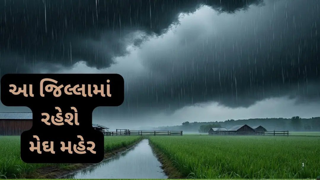 ગુજરાતમાં આજથી ભારે વરસાદની આગાહી: 6 જિલ્લામાં ઓરેન્જ એલર્ટ, વલસાડ-નવસારીમાં રેડ એલર્ટ