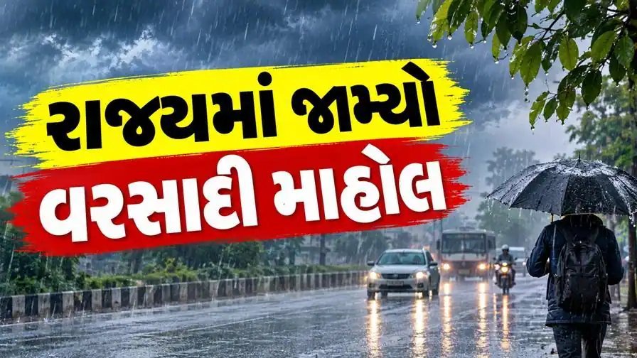 ગુજરાતમાં વરસાદનો નવો રાઉન્ડ: અમદાવાદ, વડોદરા, પંચમહાલ, વલસાડ અને સૌરાષ્ટ્રમાં મેઘમહેર