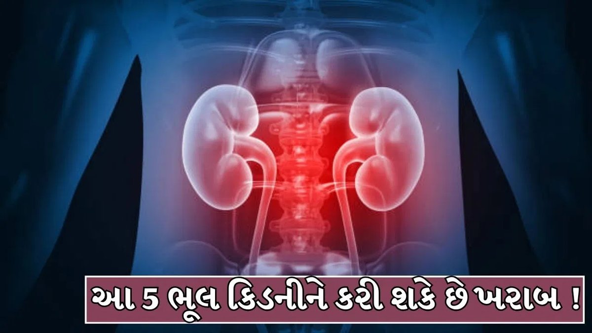 કિડનીને નુકસાન પહોંચાડતી 5 રોજિંદી ભૂલો, આ સાવચેતી રાખો