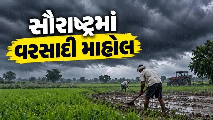 સૌરાષ્ટ્રમાં વરસાદ: દ્વારકામાં ધોધમાર, ધોરાજી-જેતપુરમાં ધીમીધાર, ખેડૂતોમાં ખુશી