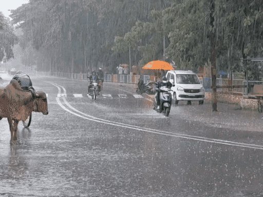 ગુજરાતમાં સિઝનનો 85% વરસાદ, 17 જિલ્લામાં હજી ઘટ; અમદાવાદ-ગાંધીનગરમાં આજે ધોધમાર વરસાદ